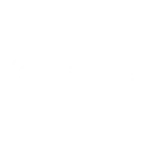 Stone Smoke BBQ