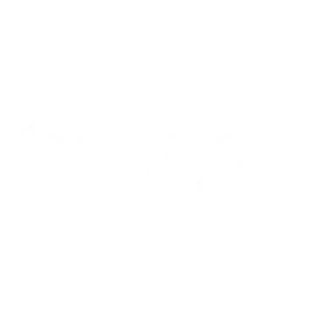 Stone Smoke BBQ